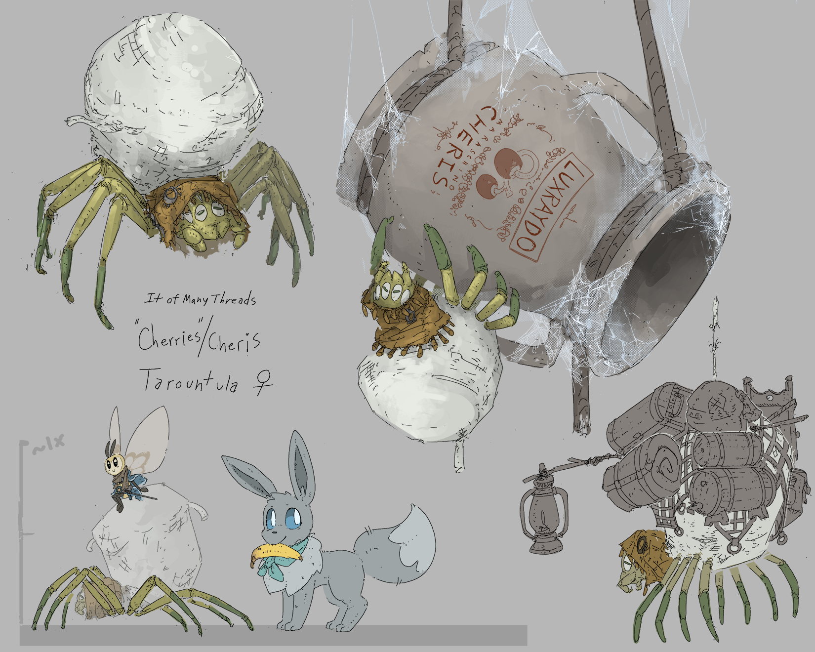 A Tarountula adventurer A Tarountula adventurer